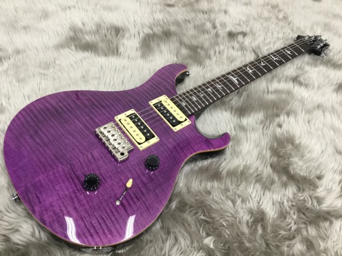 PRS SE Custom24