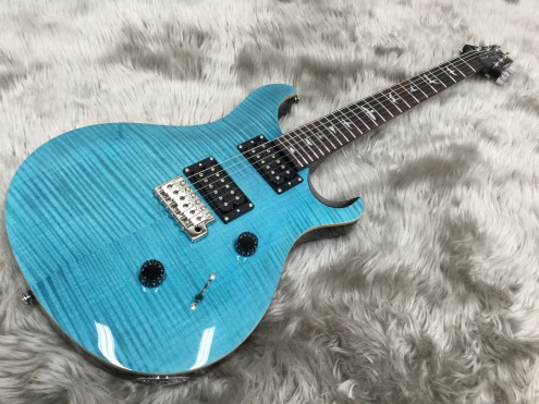 PRS SE Custom24