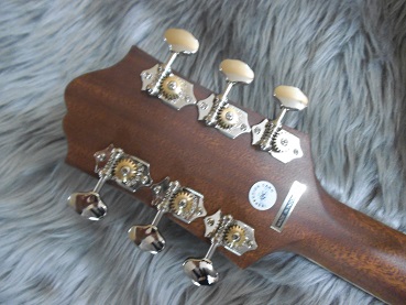 片平里菜も愛用!Epiphone DR-500 MCEが秋田に入荷！｜島村楽器 イオン 