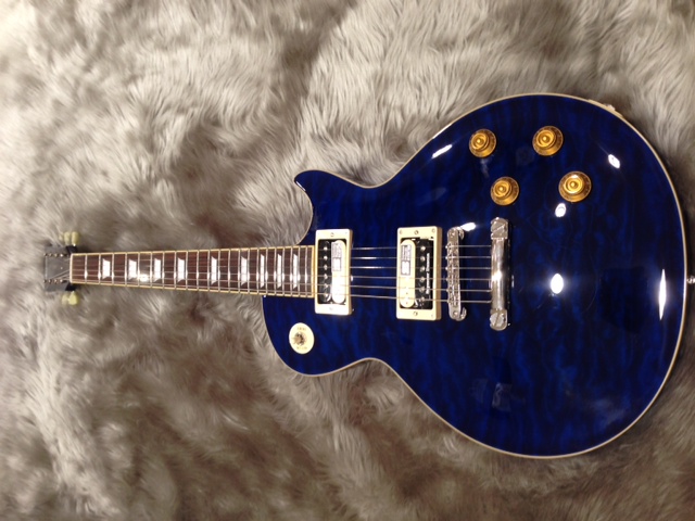 Edwards EーLP-100SD/QM