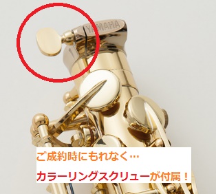 シャトーサックス