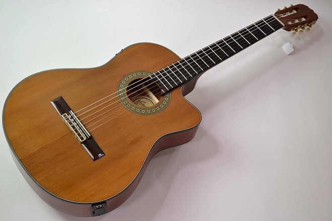 エレガットギター Lumber LCG5E ブラウン