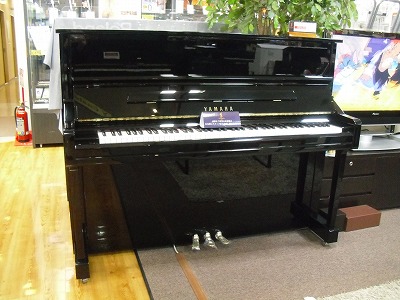 YAMAHA　YU11