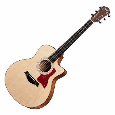 TAYLOR　316ce