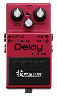 DM-2W