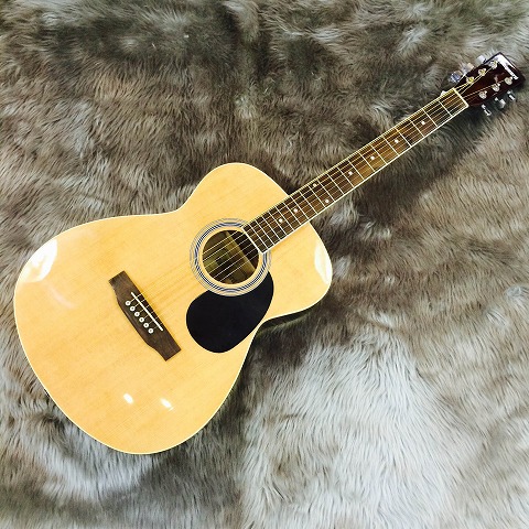 VFG-01