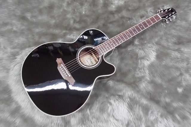 TAKAMINE/DMP561C