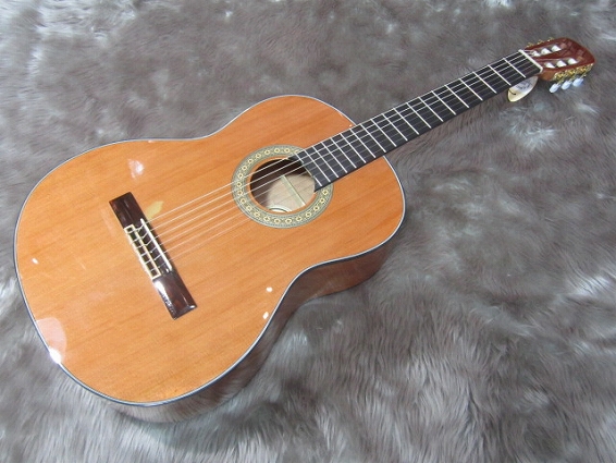 クラシックギター総合案内市川コルトンプラザ店のクラシックギターを