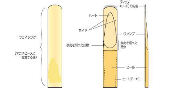 リードの名称説明