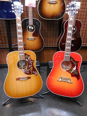アコースティックギター】Gibson Hummingbird&Dove徹底比較！【試奏