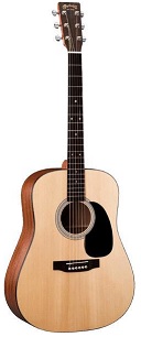 Martin D1GT