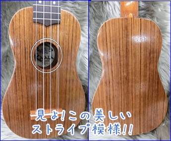 KA'ALA カアラ KU3S ボディ ストライプ模様