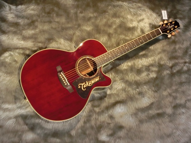 Takamine DMP50S