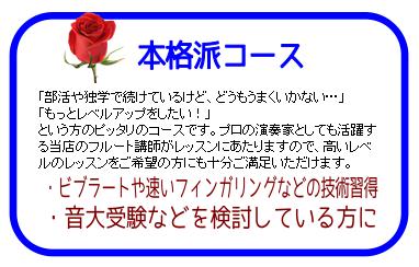本格派コース