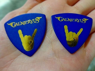 GALNERYUS Syu ピック　島村楽器松本店①