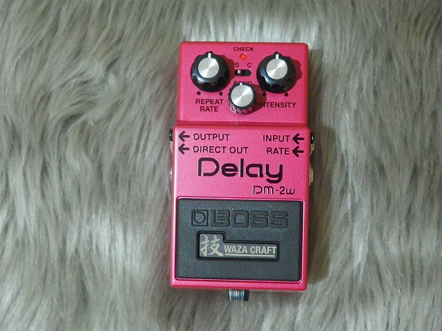 DM-2W