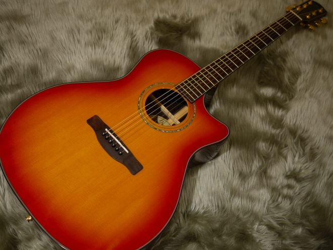 GA-45SCE