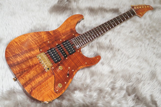 DSTC-24/30th/Koa