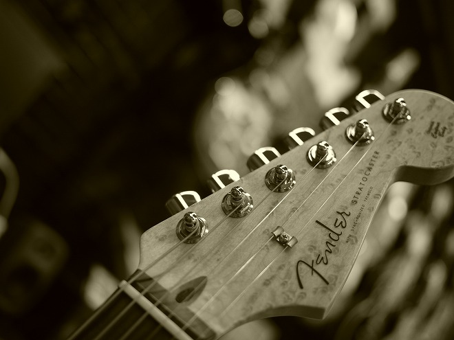 FENDERフェア~5/22!