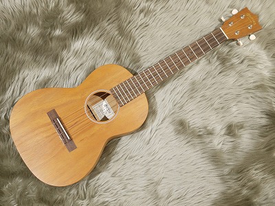 Martin T1K