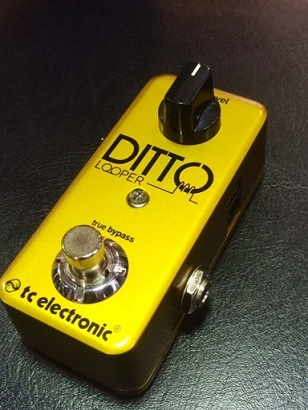Dtto Looper Gold