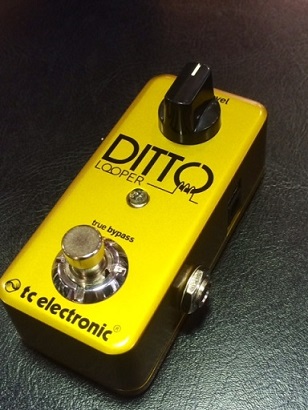 入荷情報】tc electronic Ditto Looper Gold入荷しました！｜島村楽器 ...