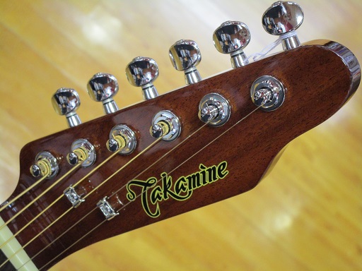 TAKAMINE TDP500-6