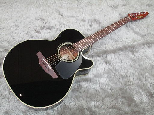 TAKAMINE TDP500-6