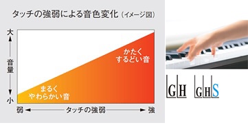 鍵盤