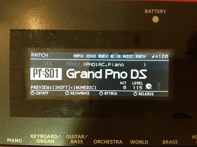 Grand Pno DS