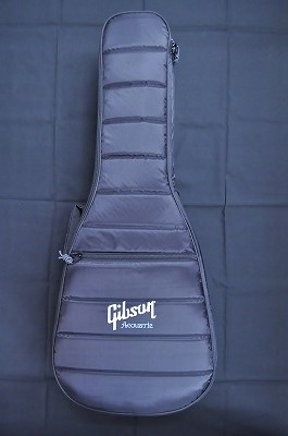 GibsonGIGbag