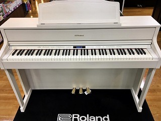 HP605GPミルキーウッド島村楽器岡崎店