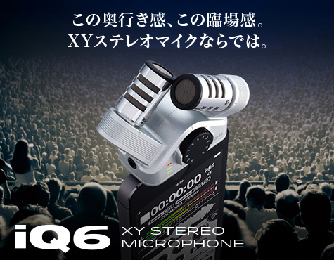 zoom iQ6