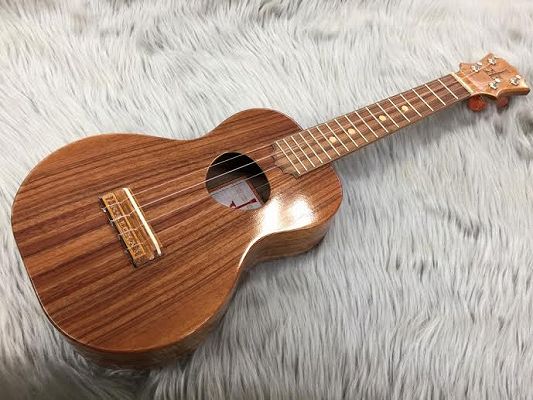 コンサート①