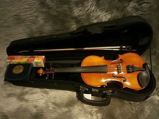イーストマン　VL-80　分数バイオリン