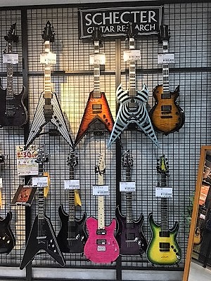 Wylde Audio＆Schecter