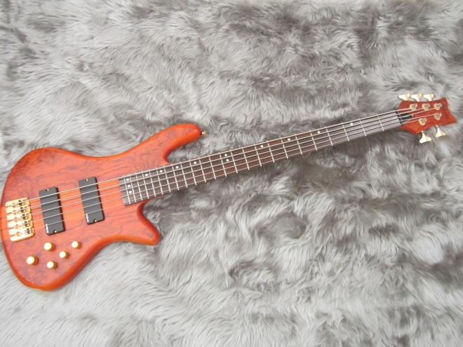 SCHECTER　ADSL/ST5