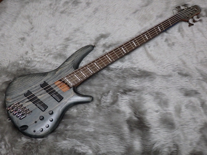 商品情報 Ibanez ファンドフレット仕様のベースがお勧め Srff805 福岡イムズ店 店舗情報 島村楽器