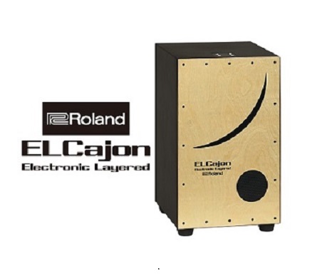 Roland　EC-10
