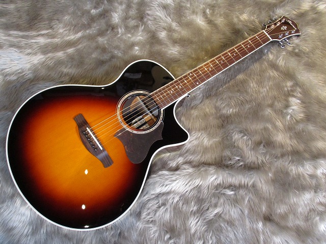 ＩＢＡＮＥＺ　ＡＥ８００