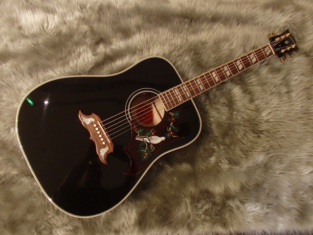 GIBSON　DOVE　EB　EBONY　黒