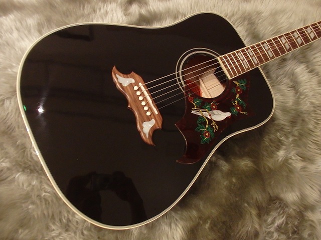 GIBSON　DOVE　EB　EBONY　黒