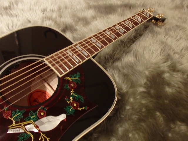 GIBSON　DOVE　EB　EBONY　黒