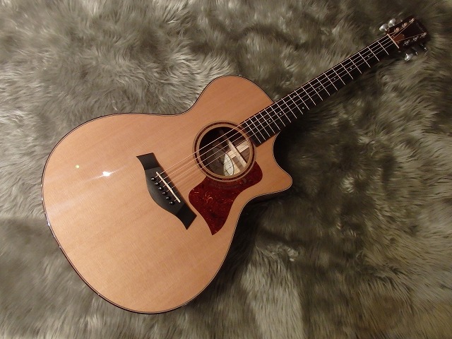 Taylor GCce-Walnut ES2