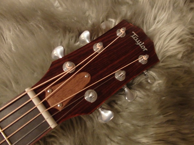 Taylor GCce-Walnut ES2