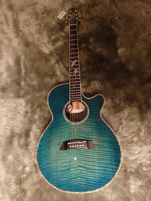 Takamine　LTD2016DECOY