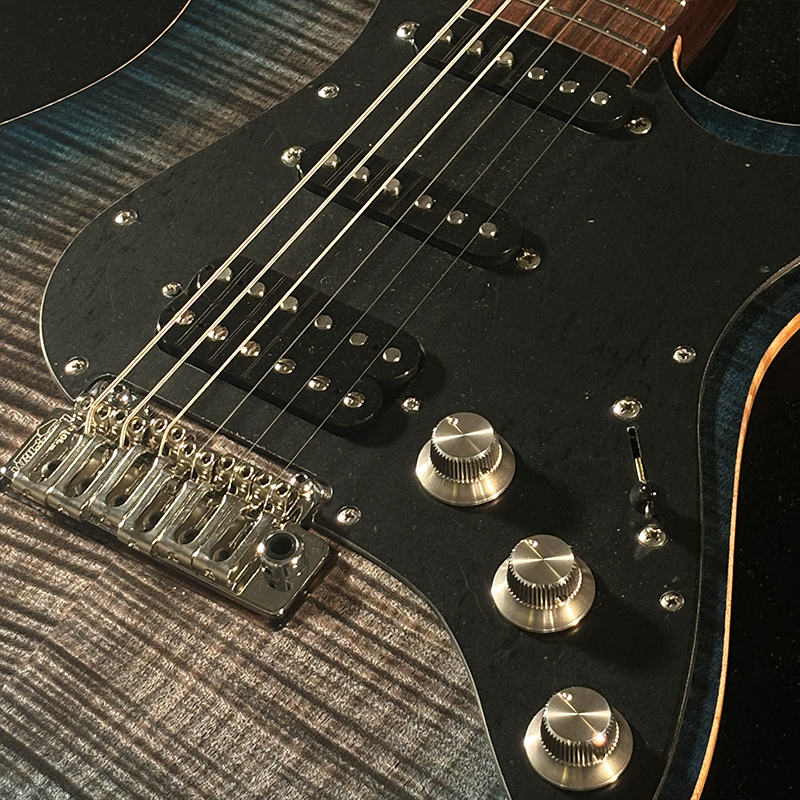 FREEDOM CUSTOM GUITAR RESEARCH OS Hydra LS 22F Premium Grade flame Maple Top