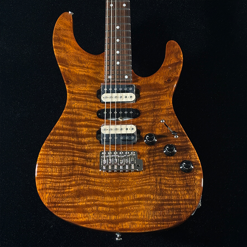 FREEDOM CUSTOM GUITAR RESEARCH OS EZa 24F FT HSH 晩秋