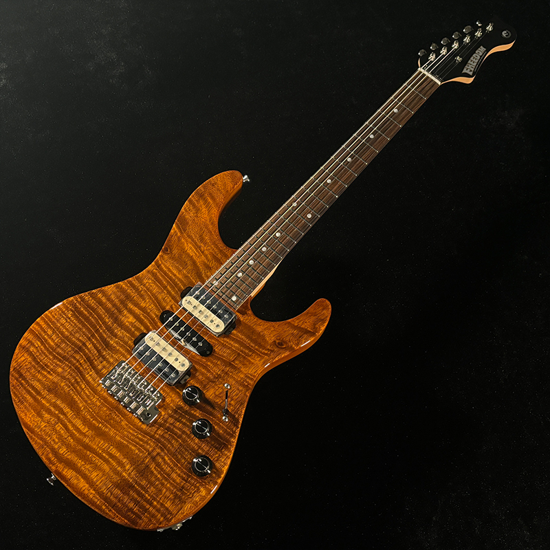 FREEDOM CUSTOM GUITAR RESEARCH OS EZa 24F FT HSH 晩秋