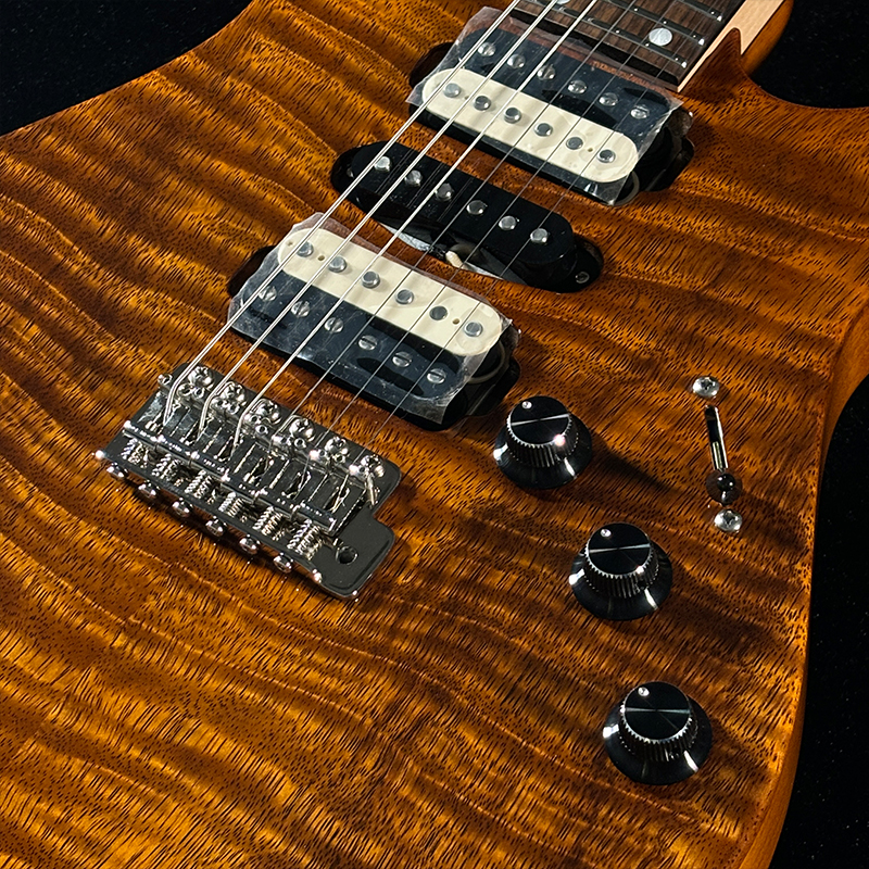 FREEDOM CUSTOM GUITAR RESEARCH OS EZa 24F FT HSH 晩秋
